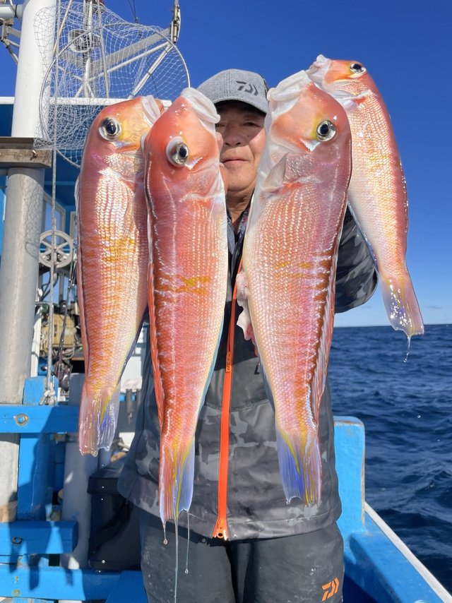 アマダイ(アカアマダイ)