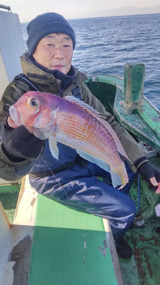 アマダイ(アカアマダイ)