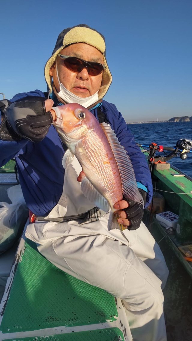 アマダイ(アカアマダイ)