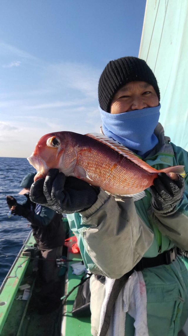 アマダイ(アカアマダイ)