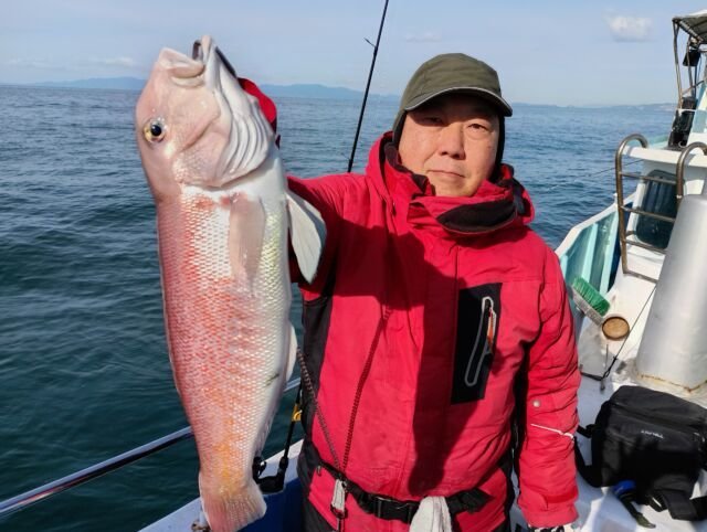 アマダイ(アカアマダイ)