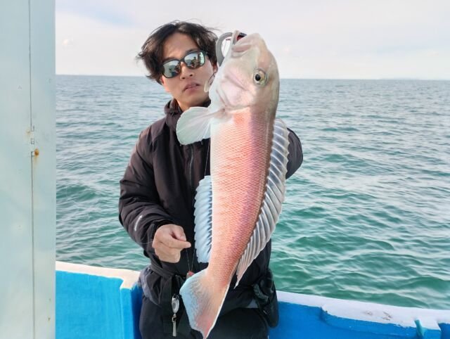 アマダイ(アカアマダイ)