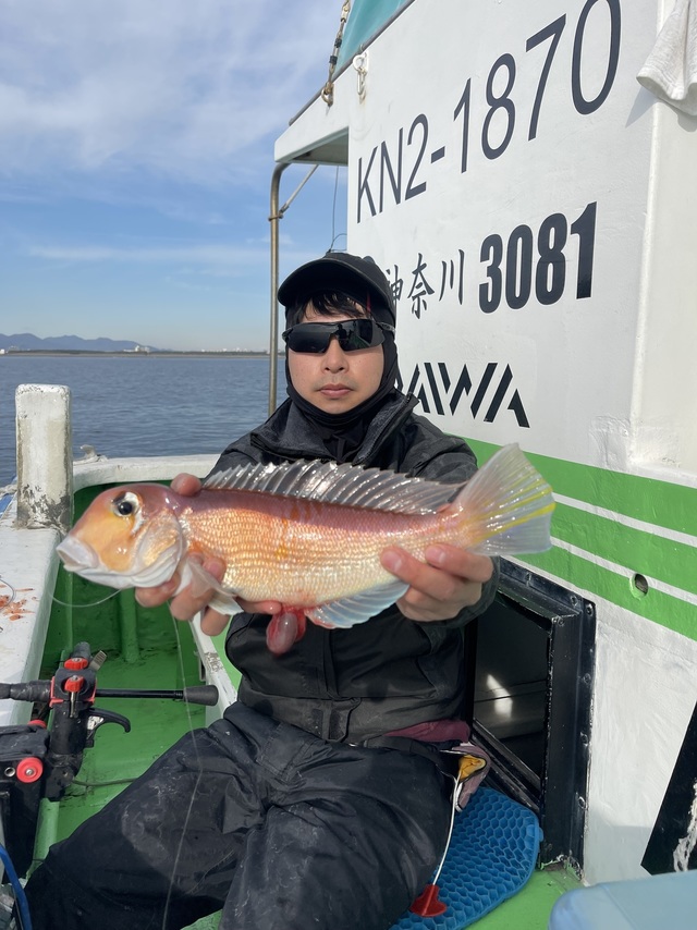 アマダイ(アカアマダイ)