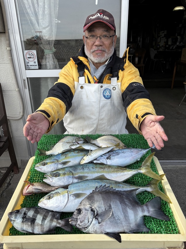 イシダイ・アジ(マアジ)・イナダ(ブリ)
