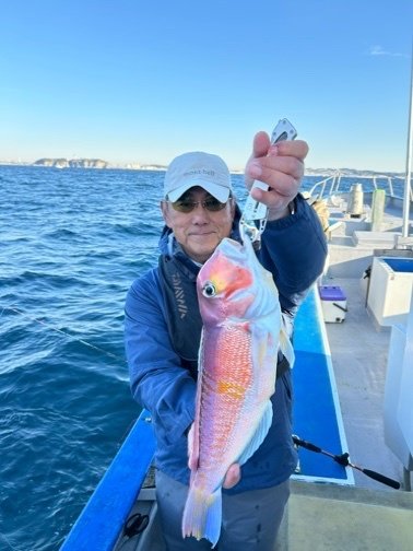 アマダイ(アカアマダイ)