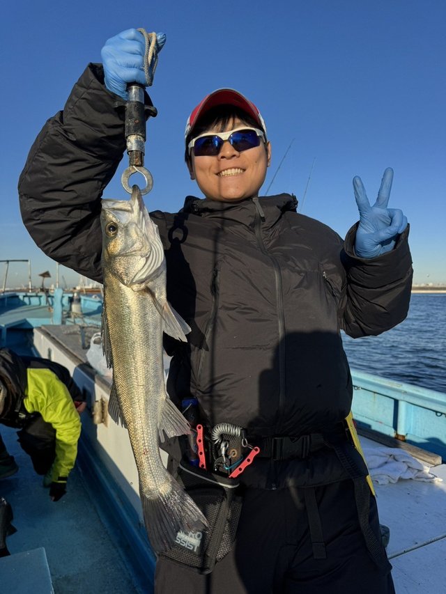 シーバス(スズキ)