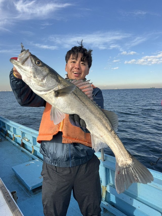 シーバス(スズキ)