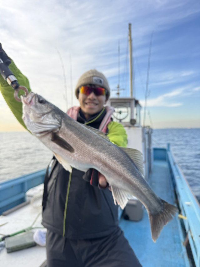 シーバス(スズキ)