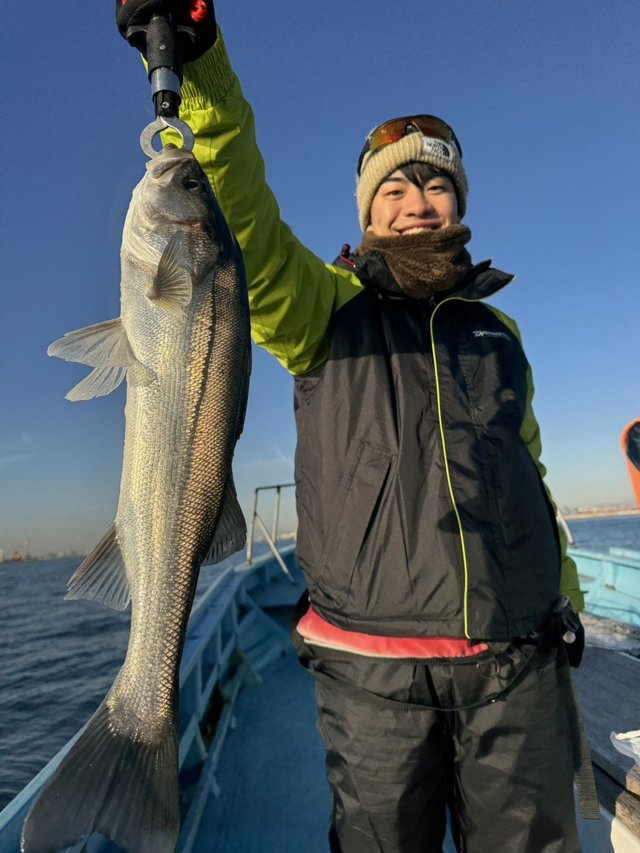 シーバス(スズキ)