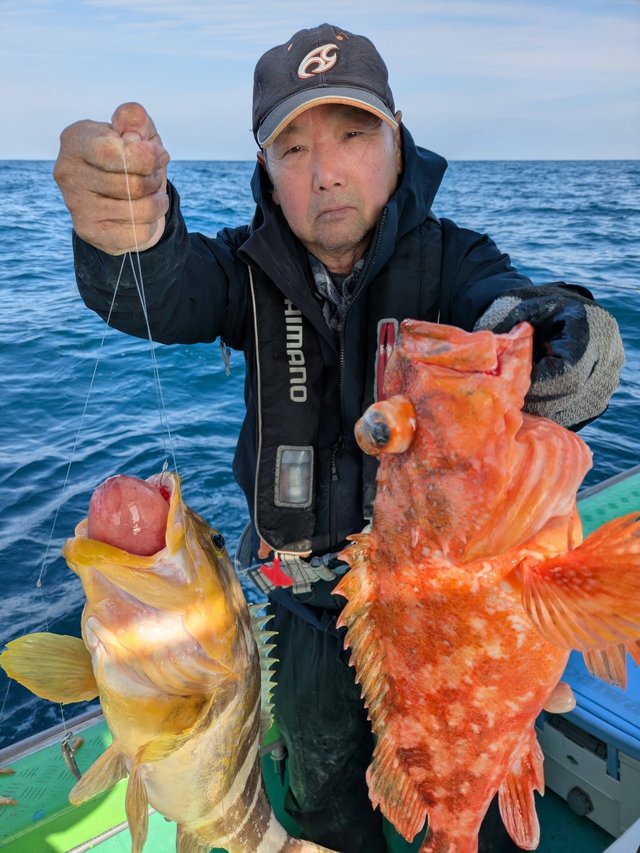 アオハタ・アラカブ(カサゴ)