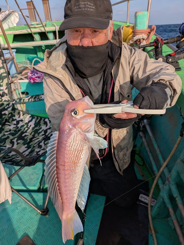 アマダイ(アカアマダイ)