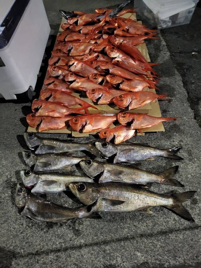 クロムツ・キンメ(キンメダイ)