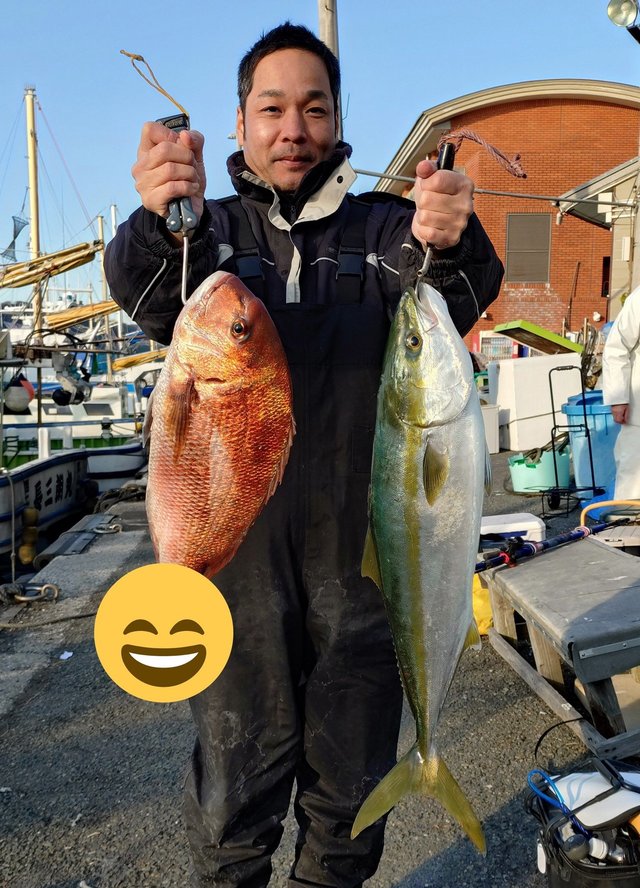 マダイ・ワラサ(ブリ)