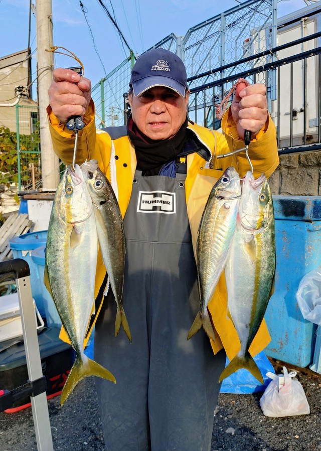 アジ(マアジ)・イナダ(ブリ)