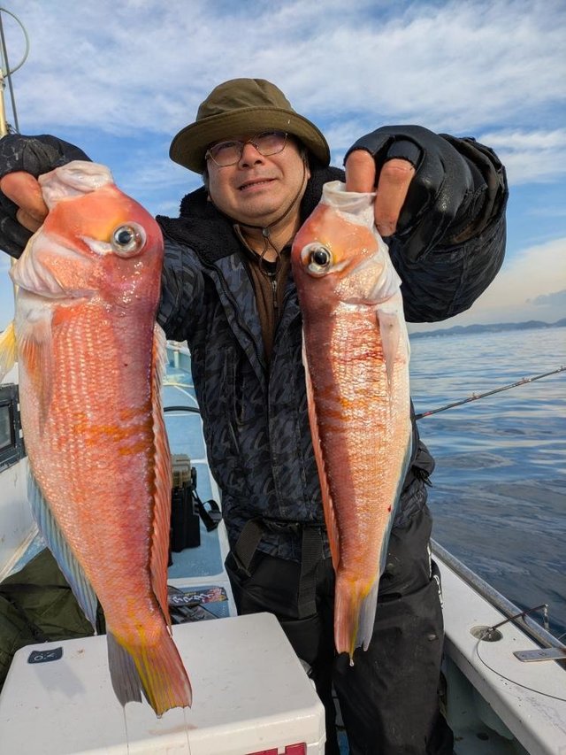 アマダイ(アカアマダイ)