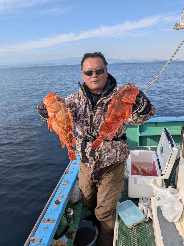 カンコ(ウッカリカサゴ)