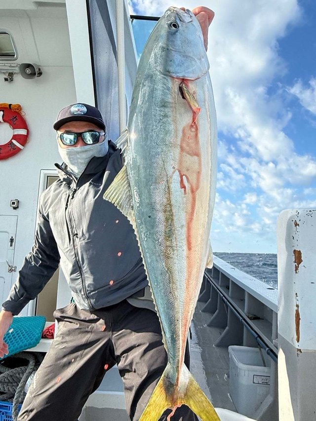 サンパク(ブリ)