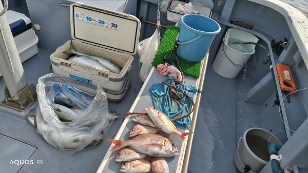 ハナダイ(チダイ)