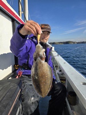 スミイカ(コウイカ)