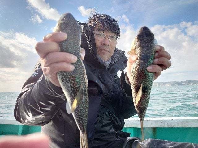 ショウサイフグ