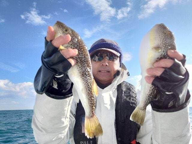 ショウサイフグ