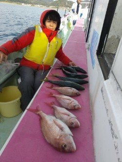 マダイ・イナダ(ブリ)