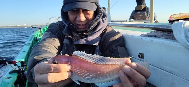 アマダイ(アカアマダイ)