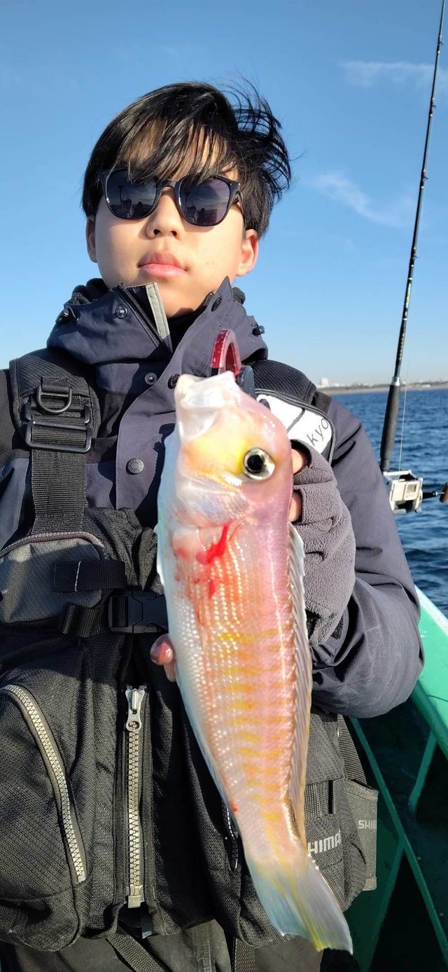 アマダイ(アカアマダイ)