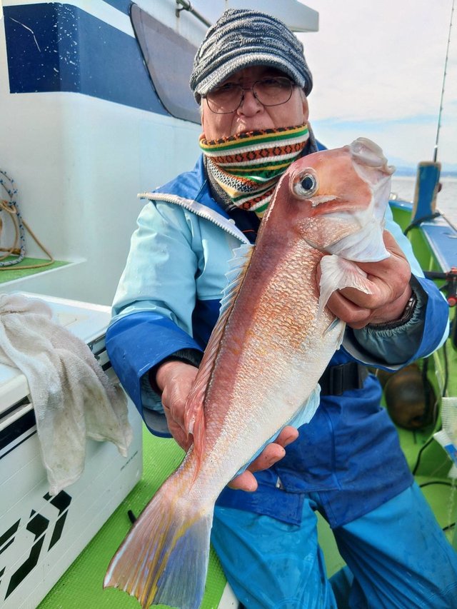 アマダイ(アカアマダイ)