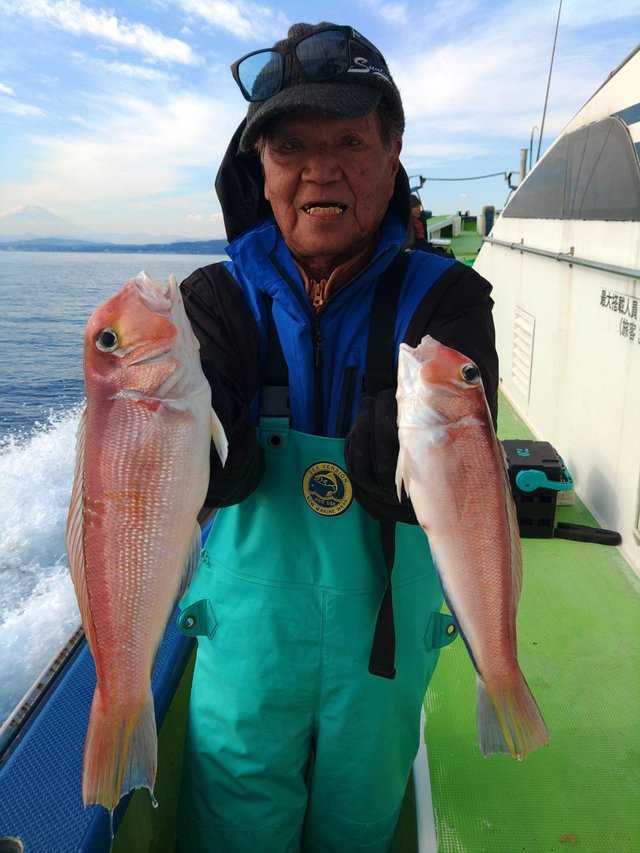 アマダイ(アカアマダイ)