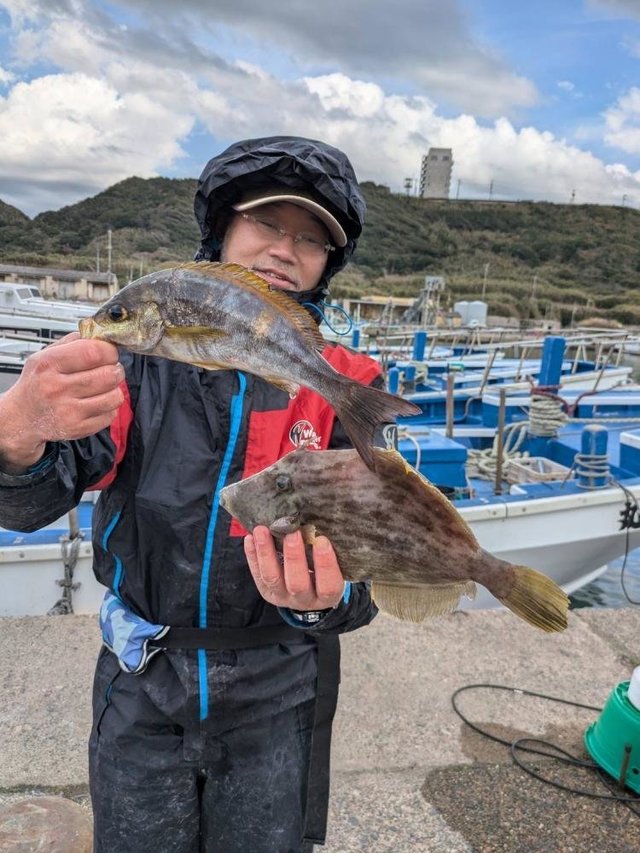 イサキ・カワハギ