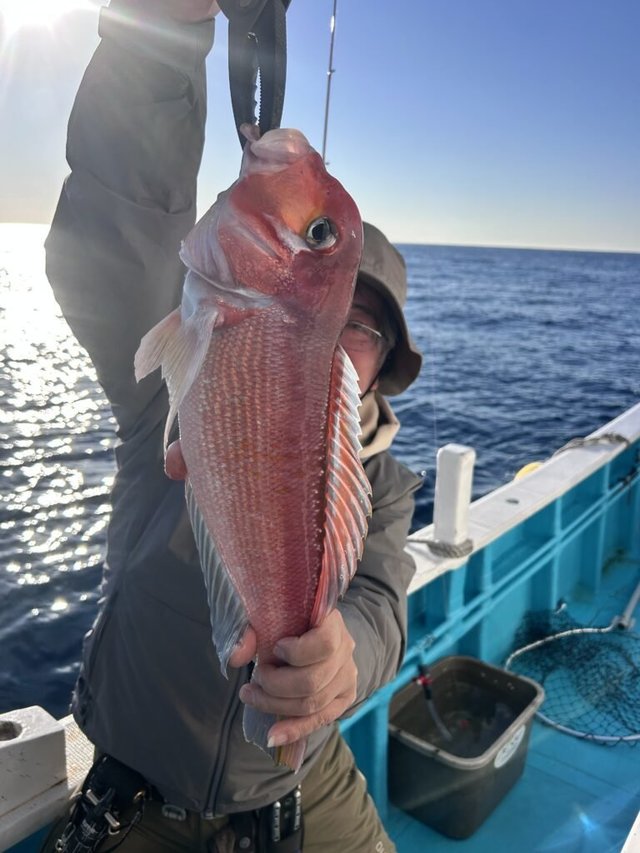 アマダイ(アカアマダイ)