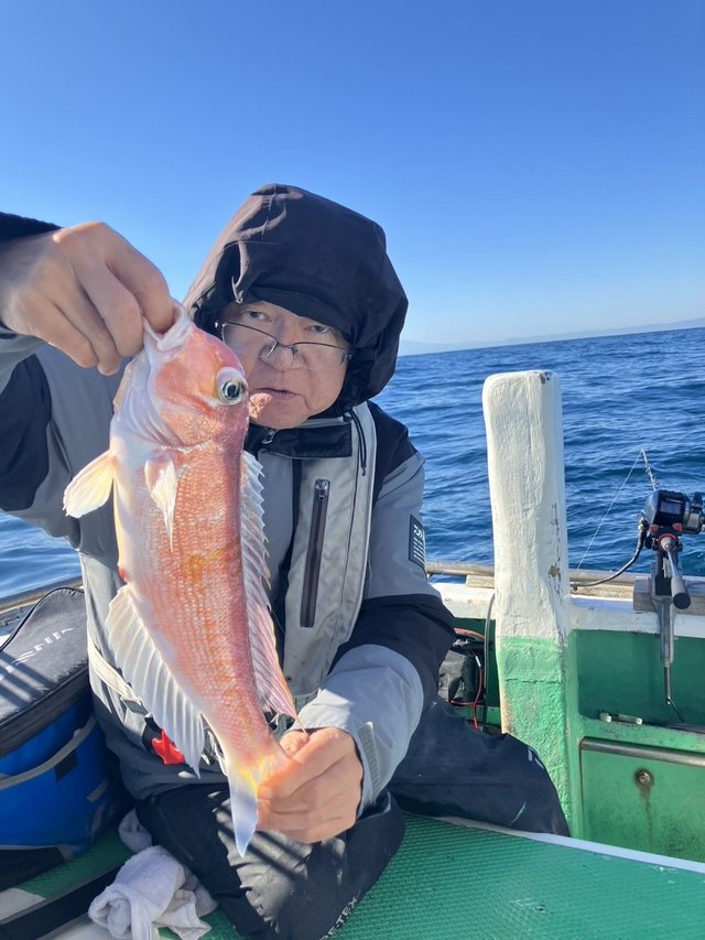 アマダイ(アカアマダイ)