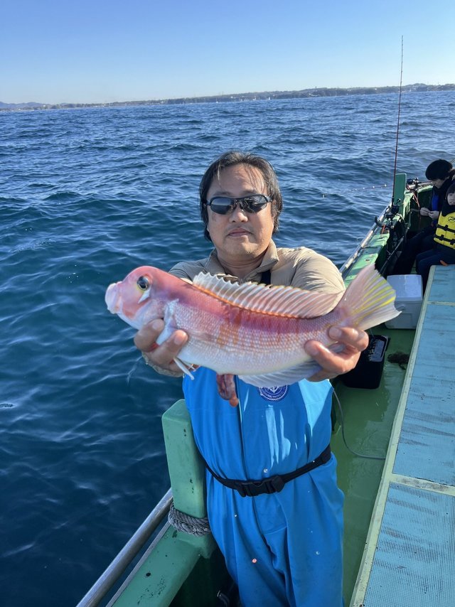 アマダイ(アカアマダイ)