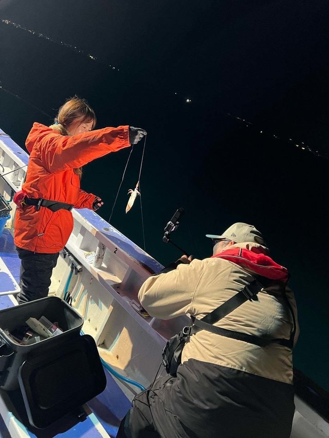 マルイカ(ケンサキイカ)