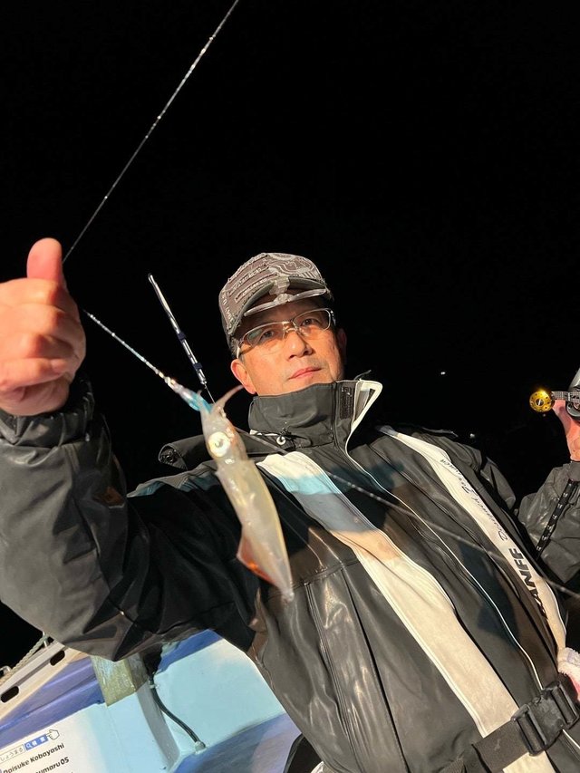 マルイカ(ケンサキイカ)