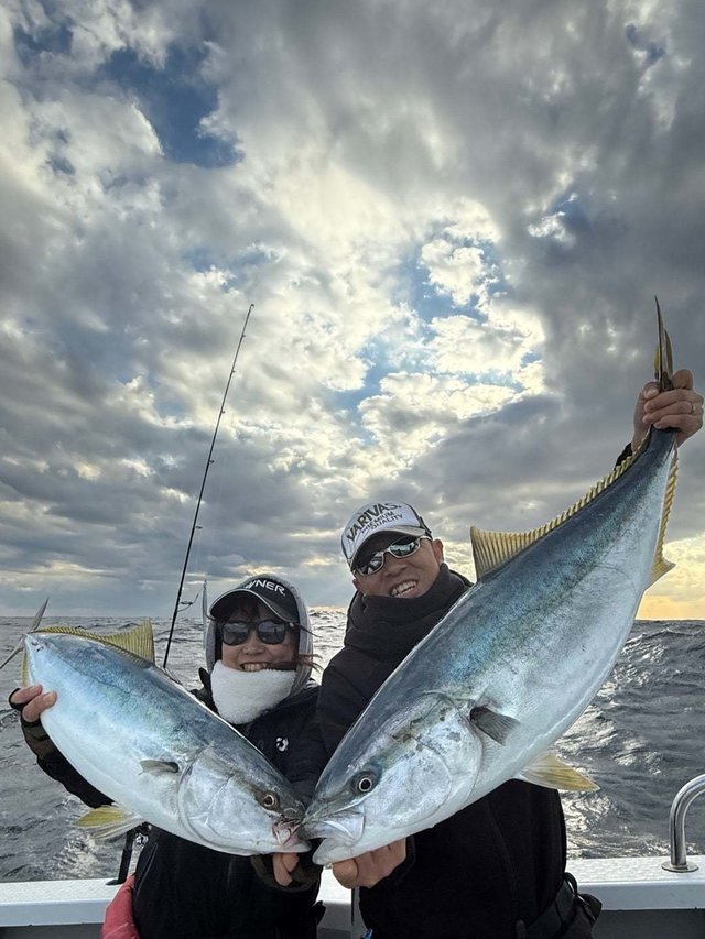 ブリ・サンパク(ブリ)