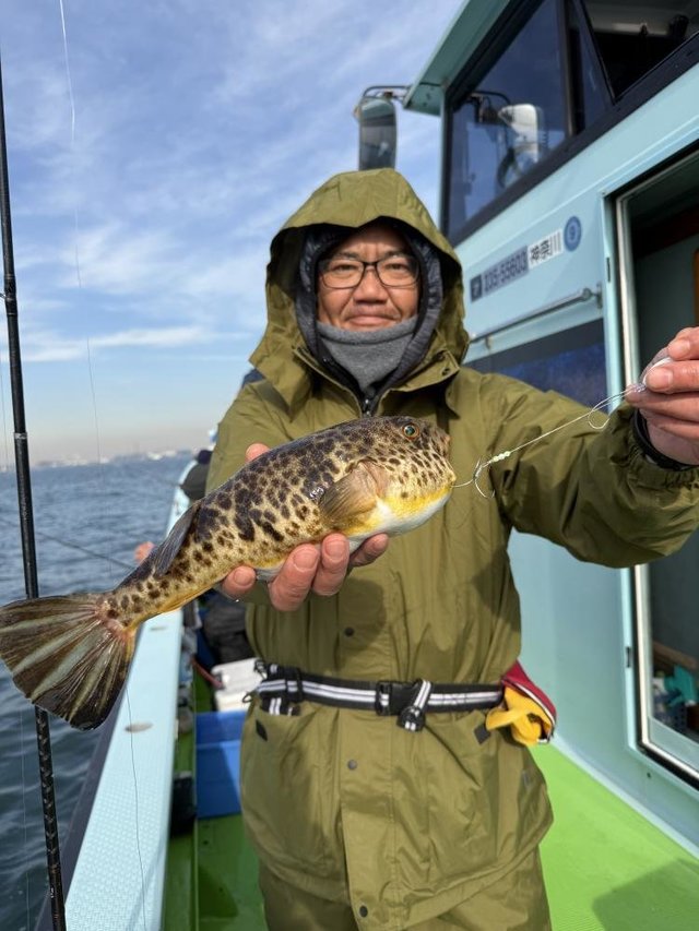 フグ(アカメフグ)