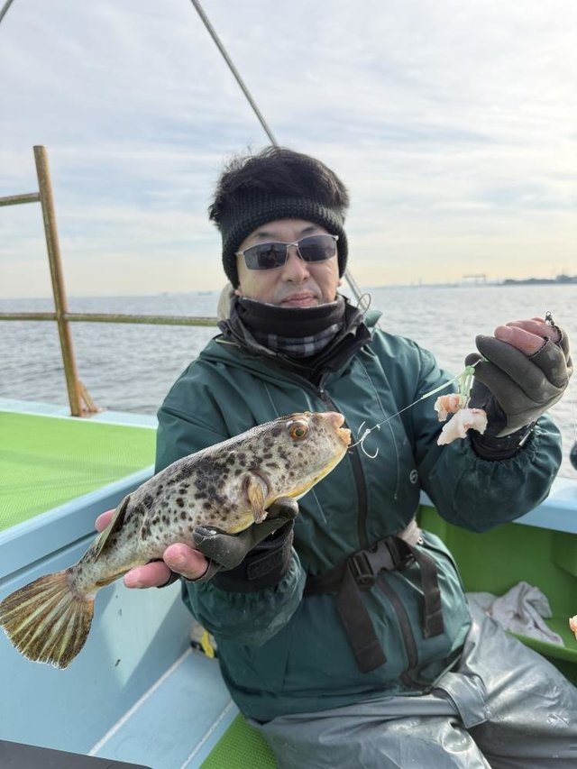 フグ(アカメフグ)