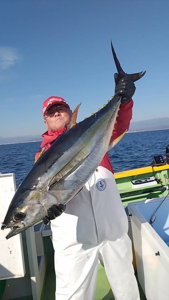 キメジ(キハダ)