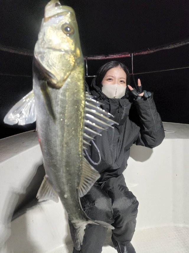 シーバス(スズキ)