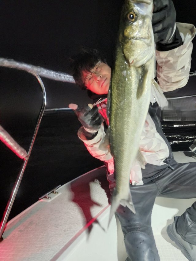 シーバス(スズキ)