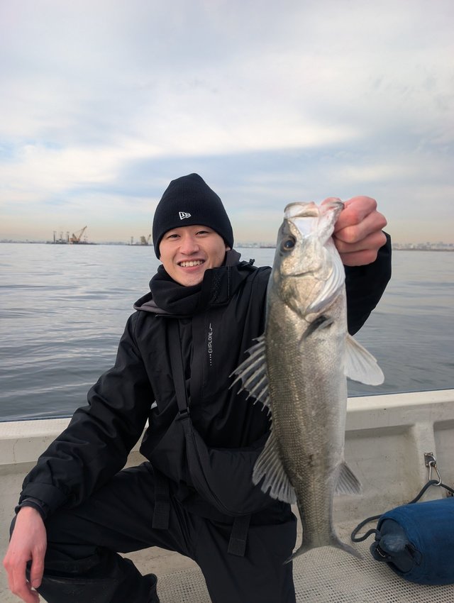 シーバス(スズキ)