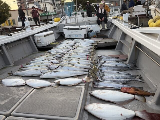 キジハタ・ブリ・サワラ・ヒラメ