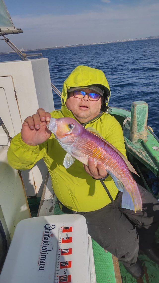 アマダイ(アカアマダイ)