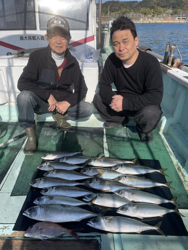 チャリコ(マダイ)・マアジ・マサバ