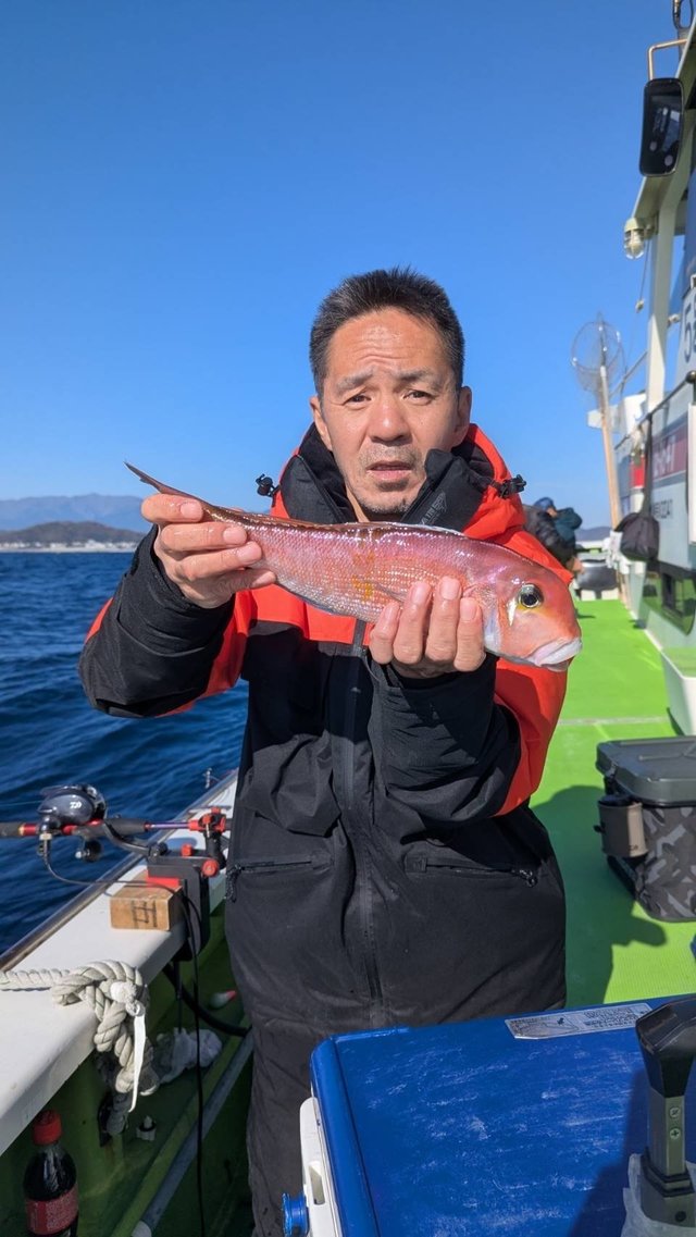 アマダイ(アカアマダイ)