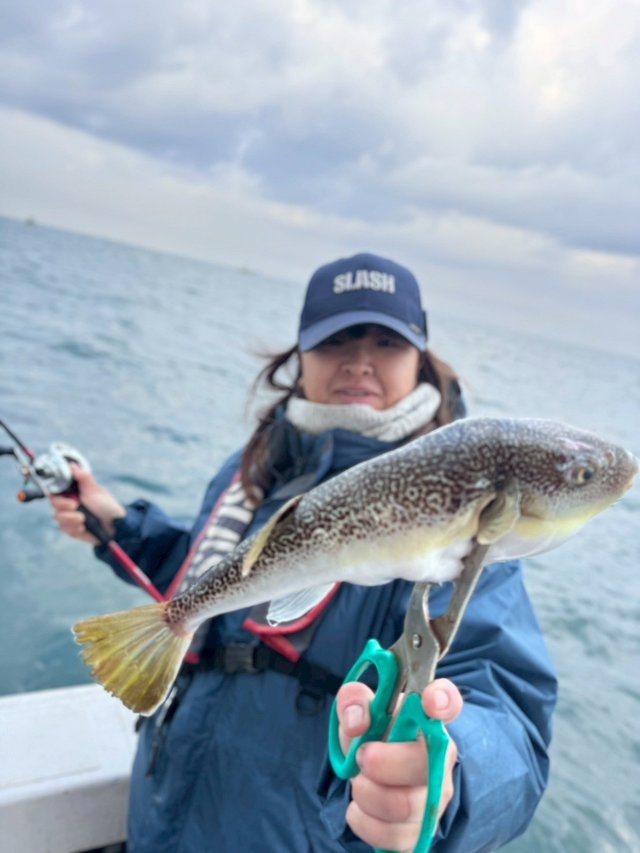 ショウサイフグ