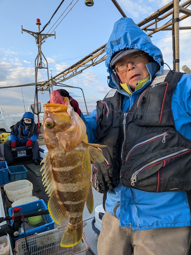 アオナ(アオハタ)