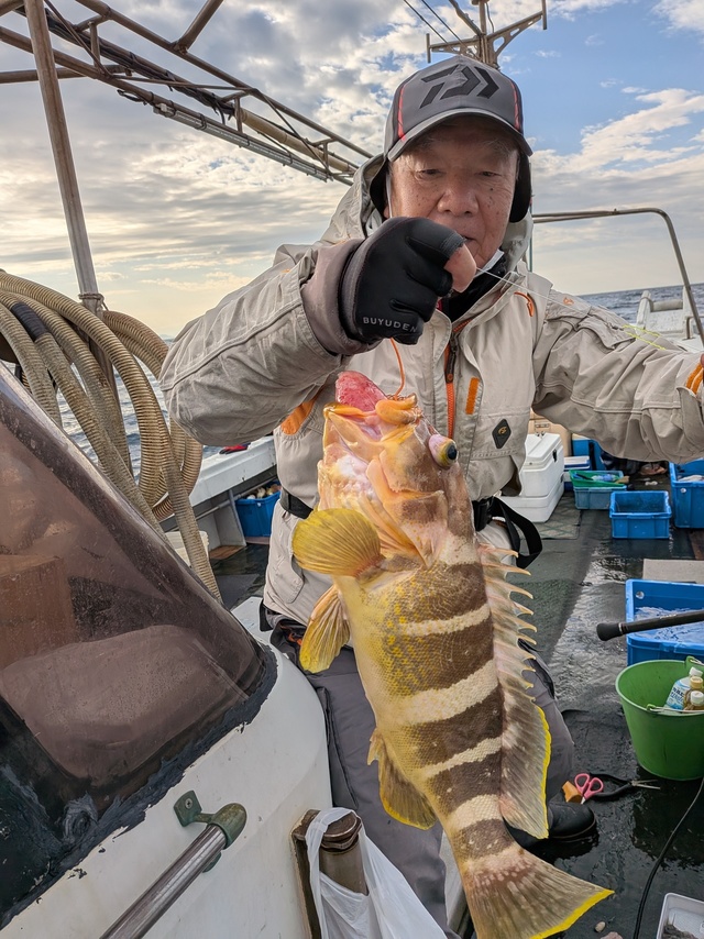 アオナ(アオハタ)